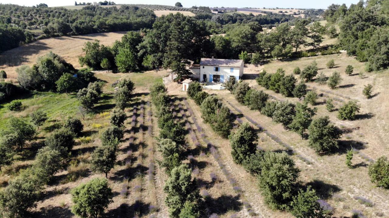 Maison D'Hotes Du Grand Chene Valensole Exterior photo